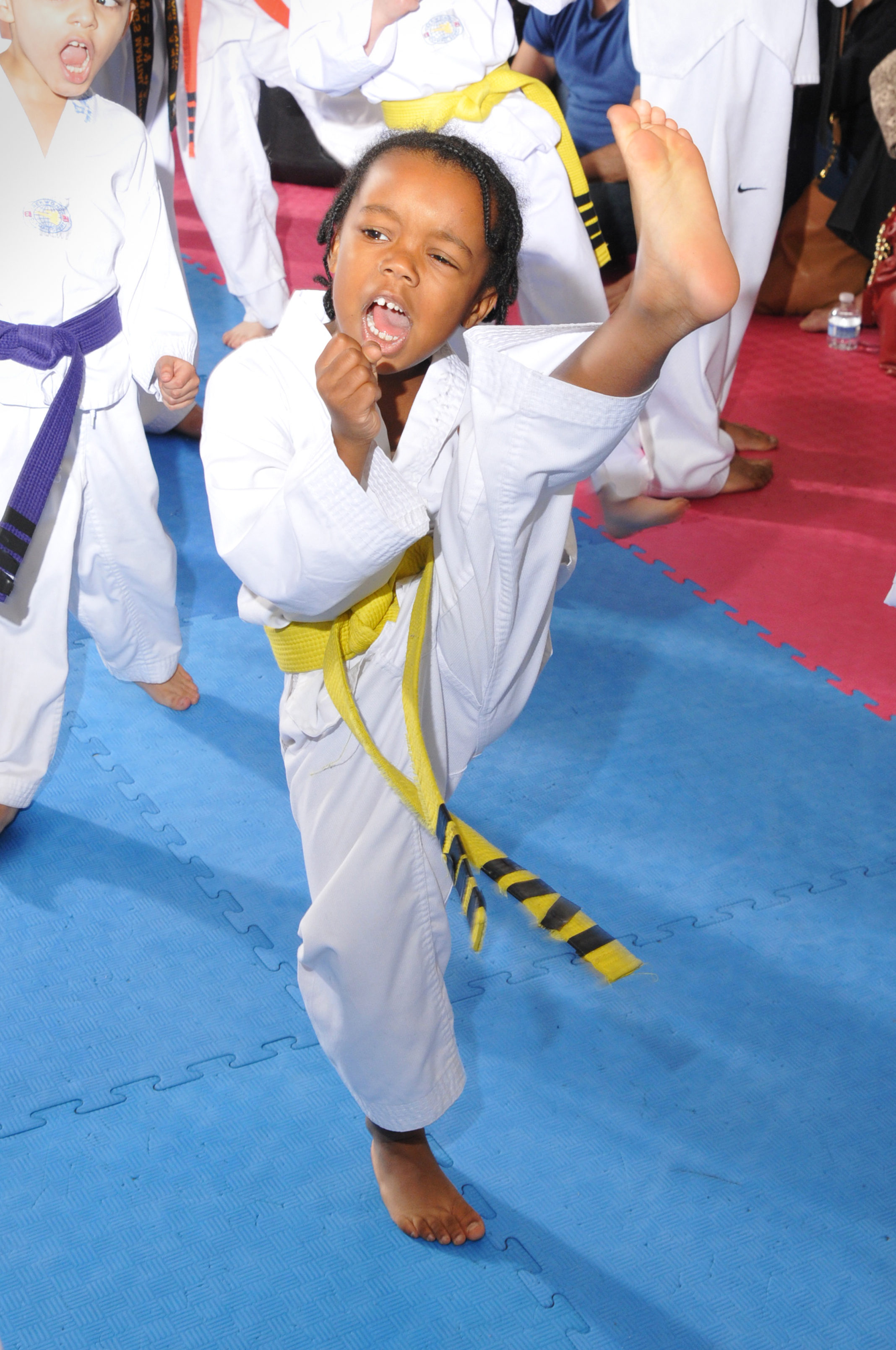Historic Attack Taekwondo training and student development
